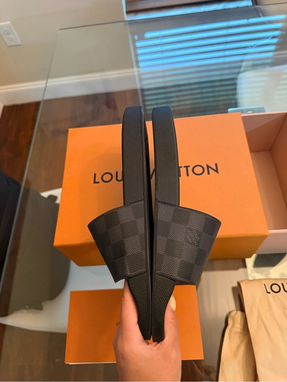 Louis Vuitton Waterfront Mule Damier Graphite Men’s LV Size 8 / US 9